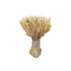 Аренда колосья пшеницы